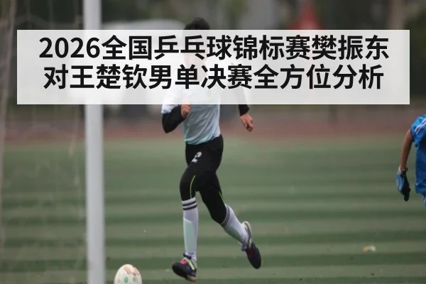 2026全国乒乓球锦标赛樊振东对王楚钦男单决赛全方位分析