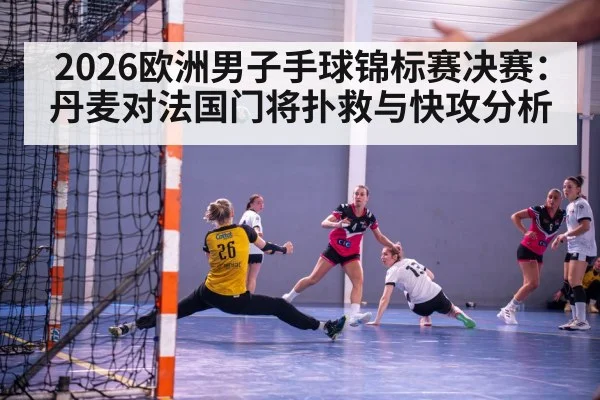 2026欧洲男子手球锦标赛决赛：丹麦对法国门将扑救与快攻分析