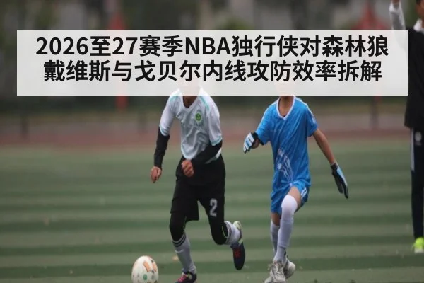 2026至27赛季NBA独行侠对森林狼戴维斯与戈贝尔内线攻防效率拆解